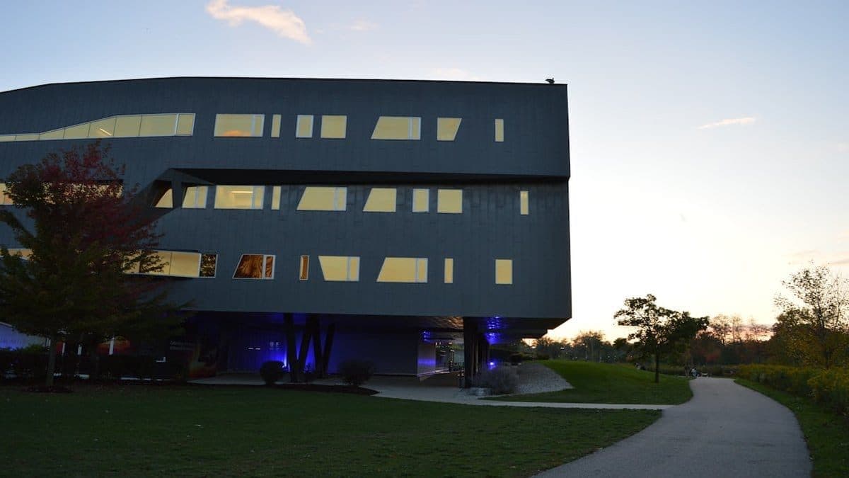 Bayes Business School campus