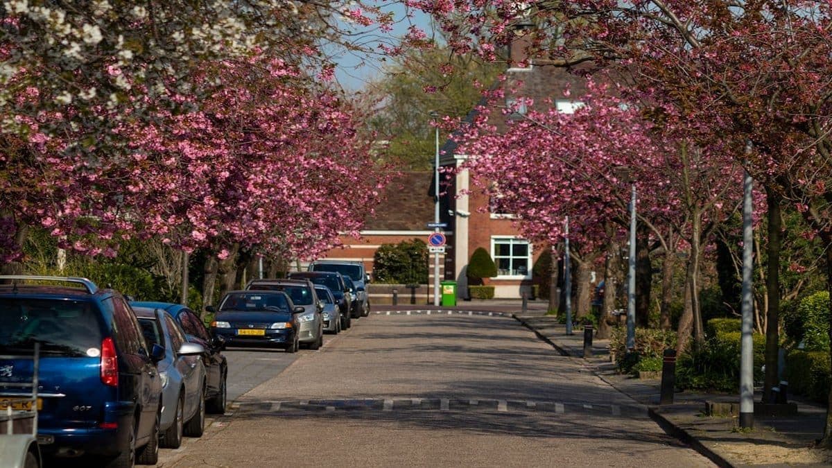 Buckinghamshire New University campus
