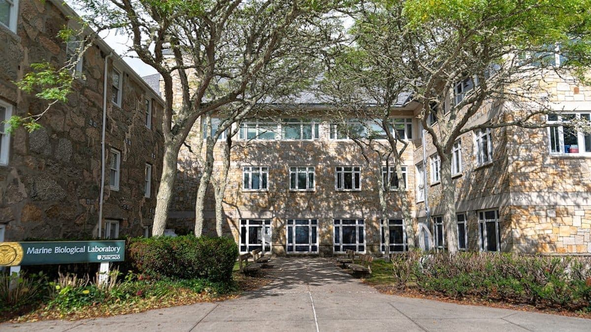 Falmouth University campus